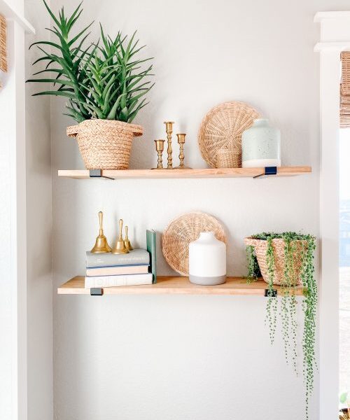 5 Best Plants For Beginners