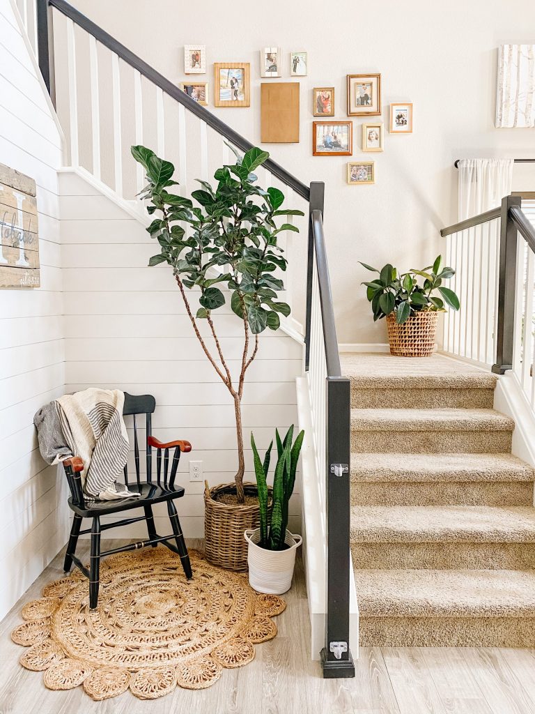 black and white staircase with jute rug and fiddle leaf fig tree