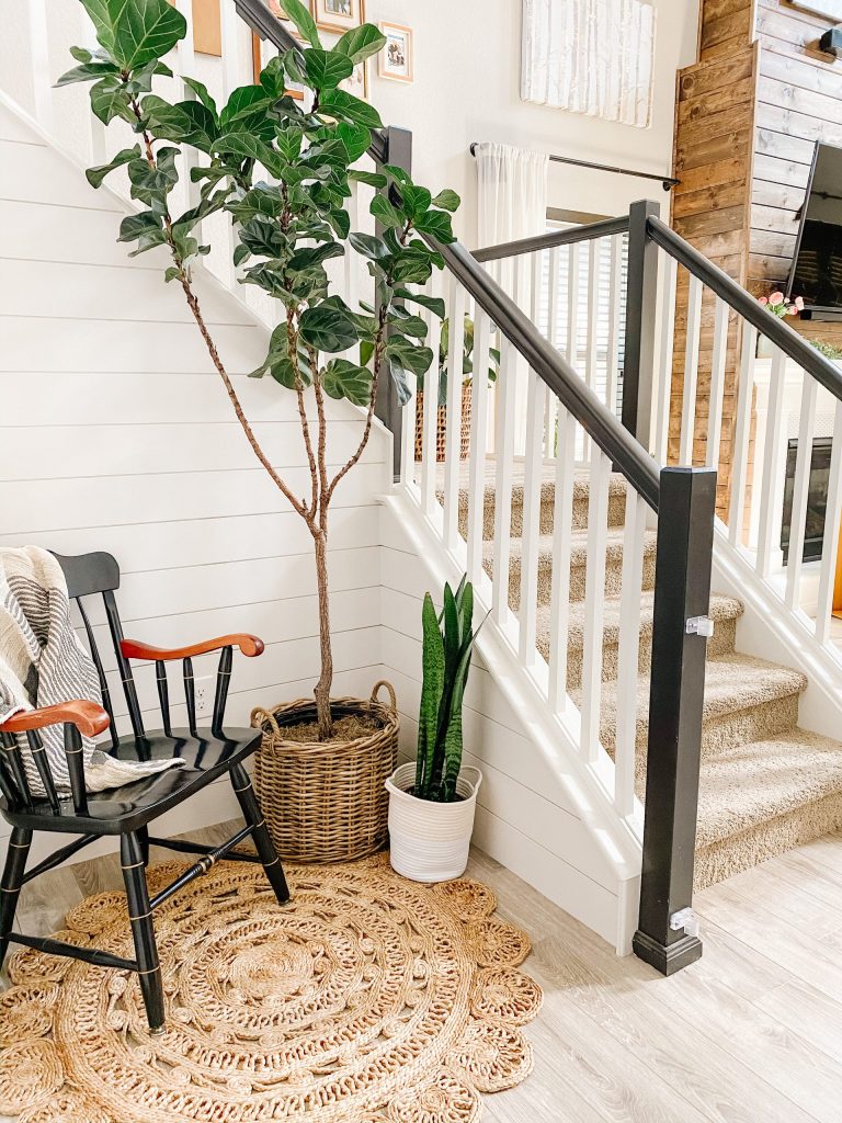 black and white staircase with jute rug and fiddle leaf fig tree