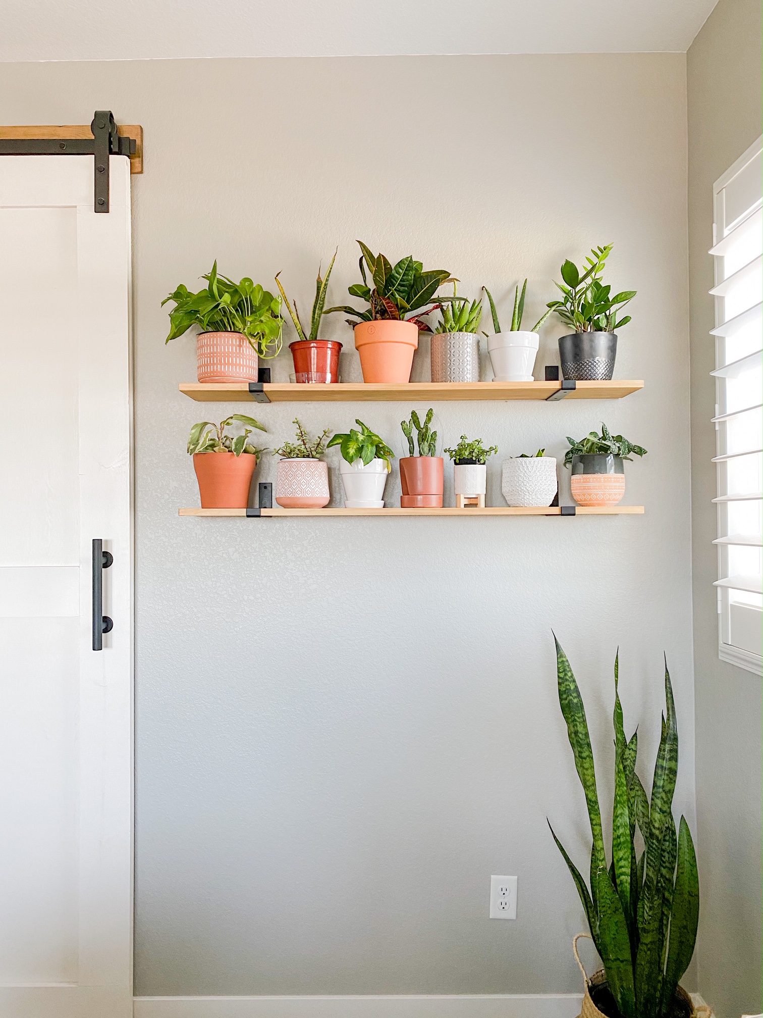Plant shelves 