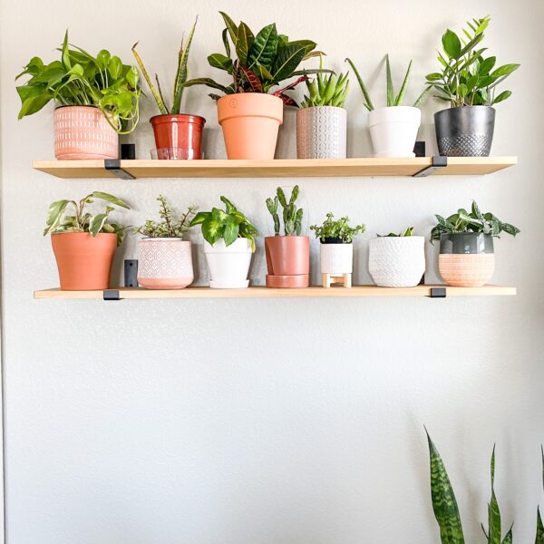 Master Bedroom Floating Plant Shelves