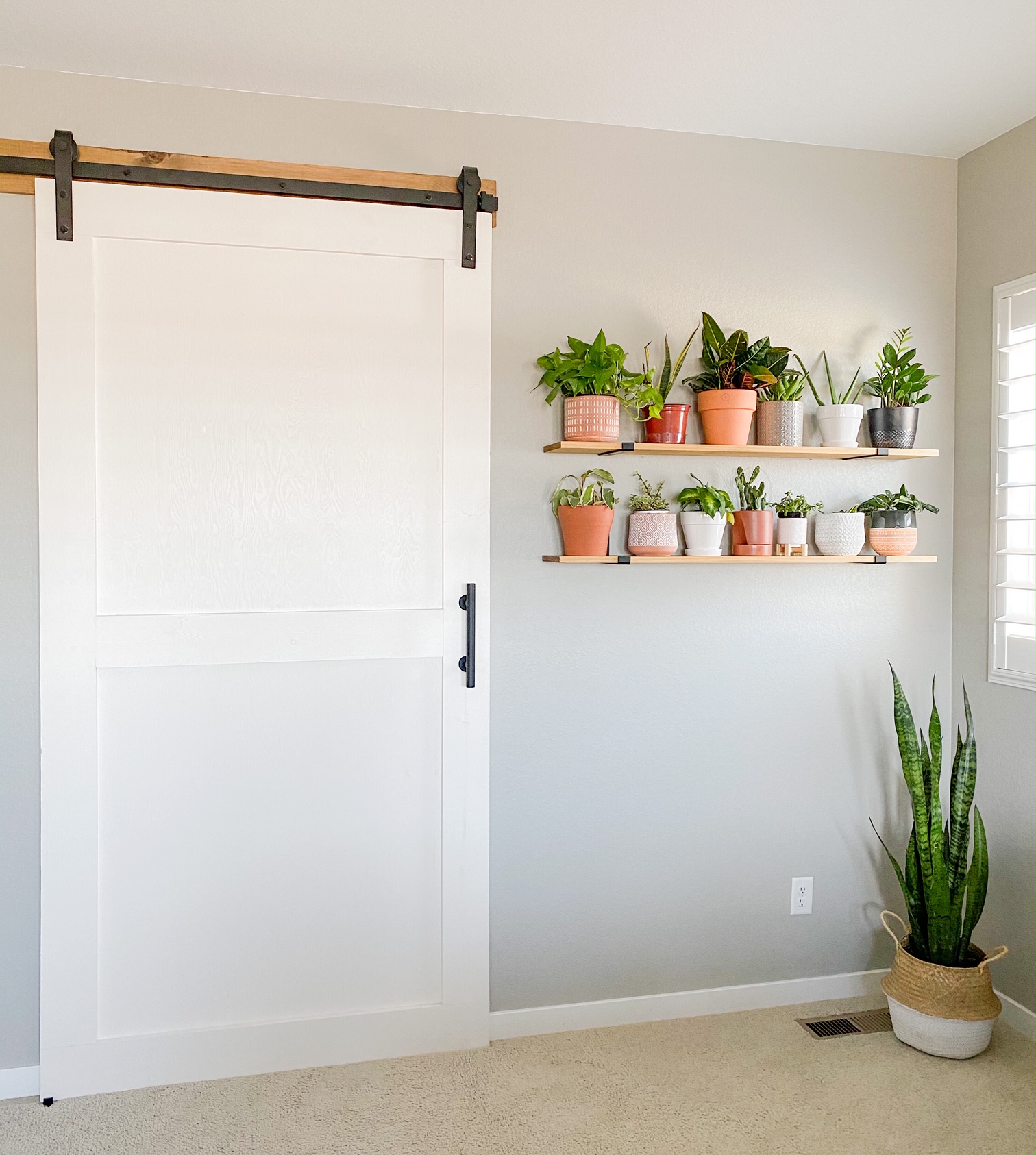 Barn door with a plant shelves wall