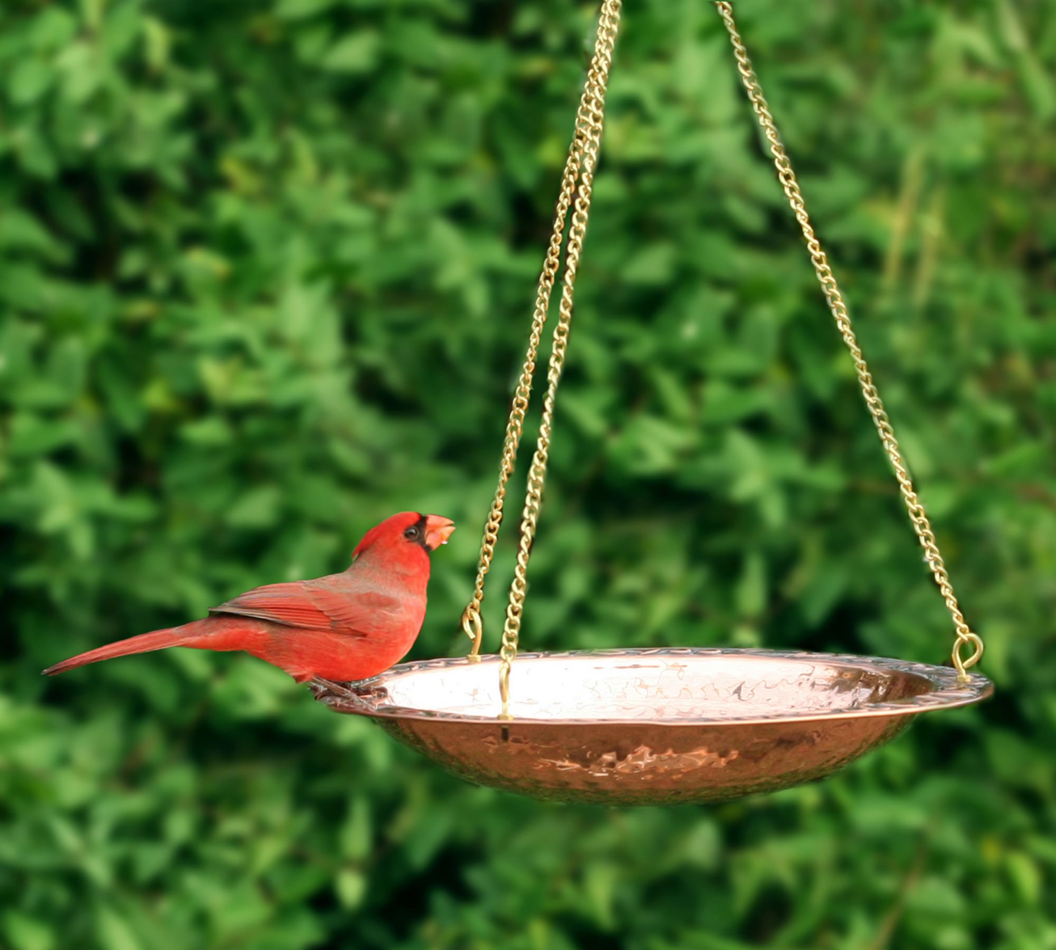 14 Small Garden Decor Ideas - Garden Decor For Small Backyards